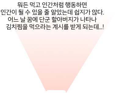 헤드라이트 내용