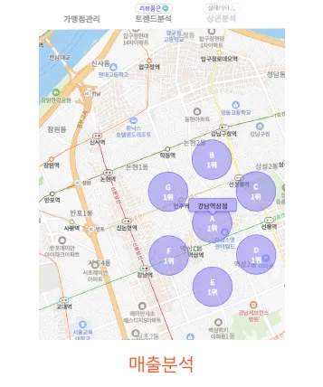매출분석