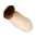 작은버섯